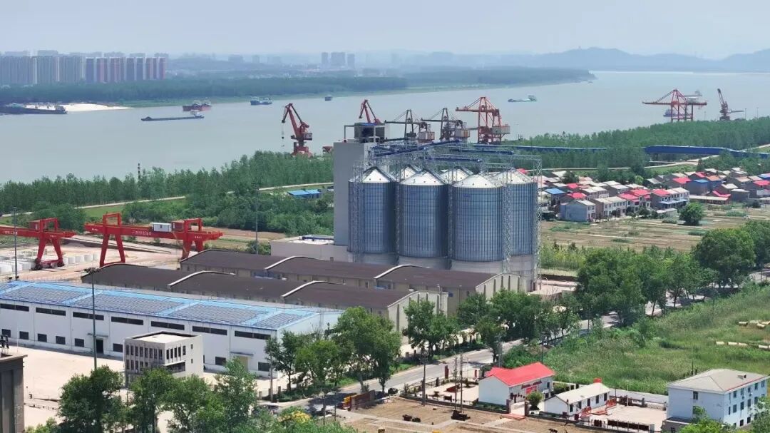 宝运莱_官方网站app下载